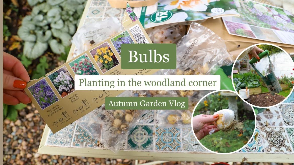 Bulb planting in the shady woodland corner and my Spring bulb planting tips