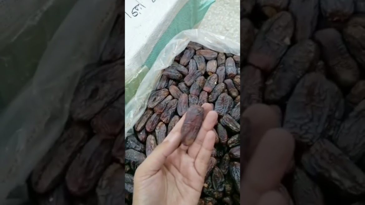 The ugly palm trees of Medina.#viralvideo The ugly palm trees of Medina.#viralvideo