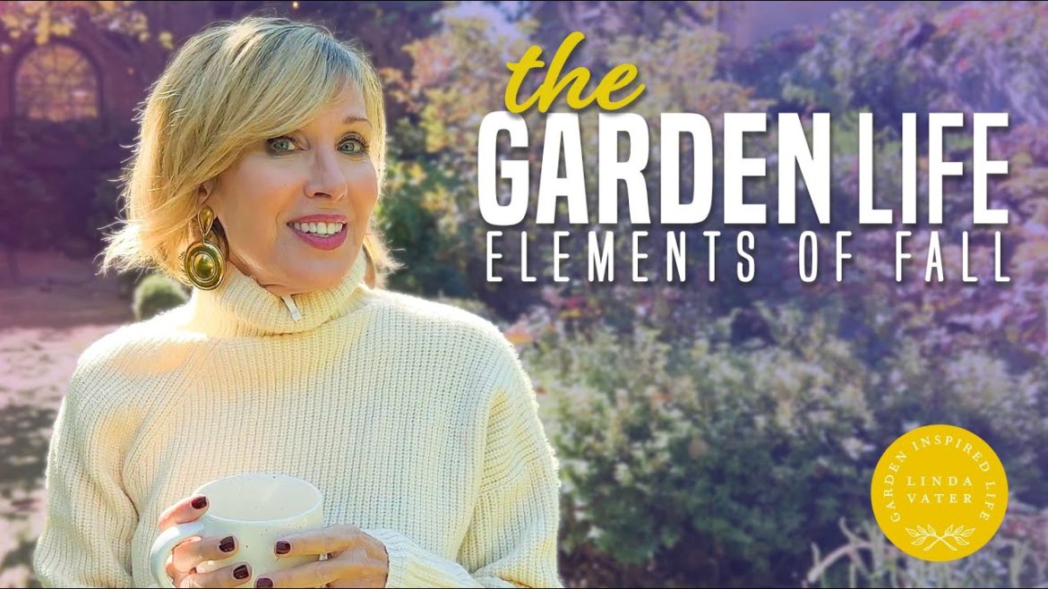 Elements of the Fall Garden: The Garden Life