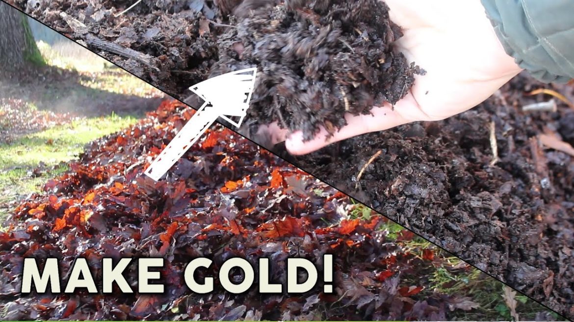 How to Make Leaf Mold Compost - Gardener's Gold