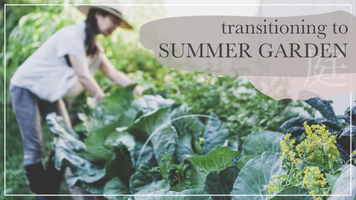 Transition to SUMMER GARDEN | No Dig Permaculture urban backyard garden | slow living silent vlog
