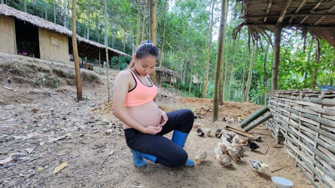 7 MONTHS PREGNENT & Off Grid - Farming | Take care of the garden, marketing, sell vegetables