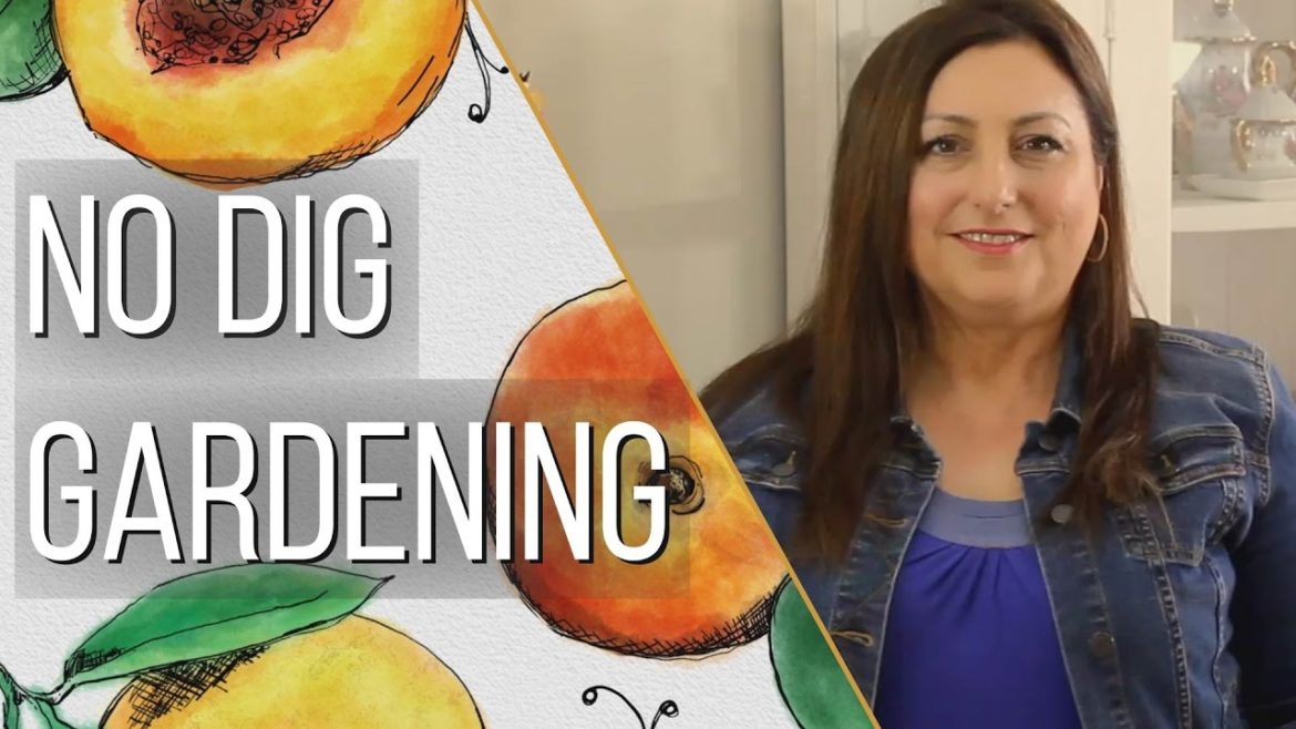 Preparing No Dig Raised Garden Beds - Compost as You Grow - Gardening Tips