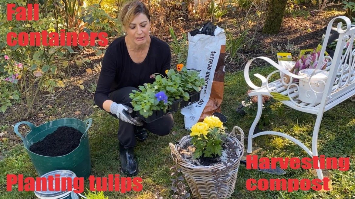 Fall containers, harvesting compost,and planting tulips!!!