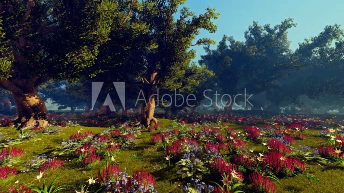 Homemaker Upcycles Junk Bikes, Bulbs, Basins to Create Fairytale Garden