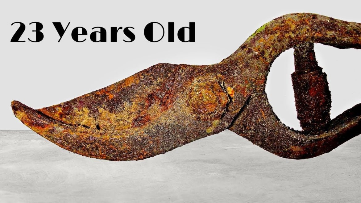 Rusty $1 Gardening Tool Restoration! 1999,s Flower Cutter Rusty $1 Gardening Tool Restoration! 1999,s Flower Cutter