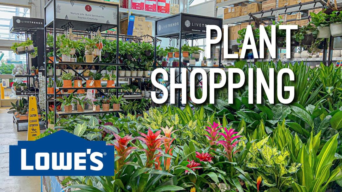 Plant Shopping 🪴 & Christmas Shopping! 🎄 Let’s see what kind of houseplants they have at Lowes! 😯