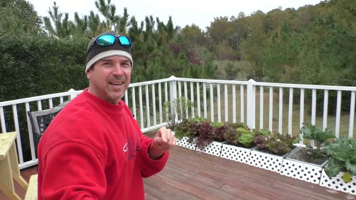 Fall 32F FREEZE will the Garden Survive? Vegetable Container Gardening VLOG Fall 32F FREEZE will the Garden Survive? Vegetable Container Gardening VLOG