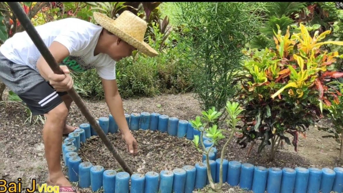 Garden Makeover #3|| My garden design and ideas
