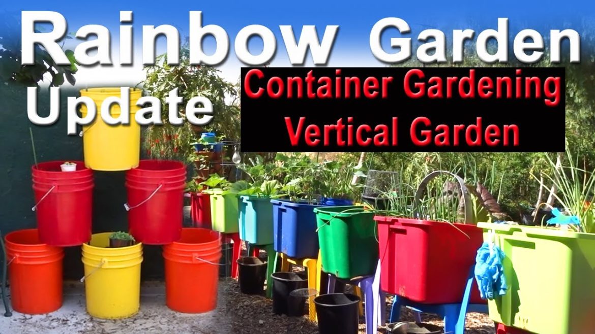 Container Gardening FOOD, Zucchini, 50 Tomato Seedlings, Mustard, Strawberries, Birds eating Insects