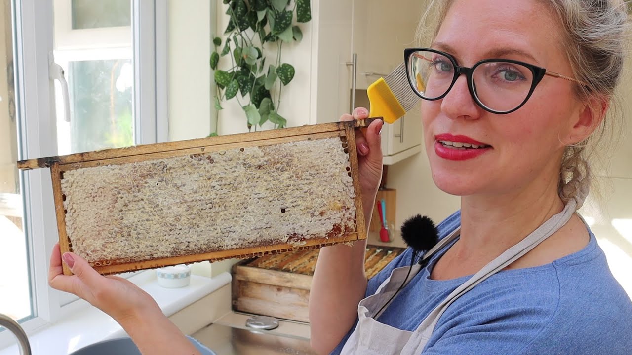 How to Harvest Honey from All For Gardening