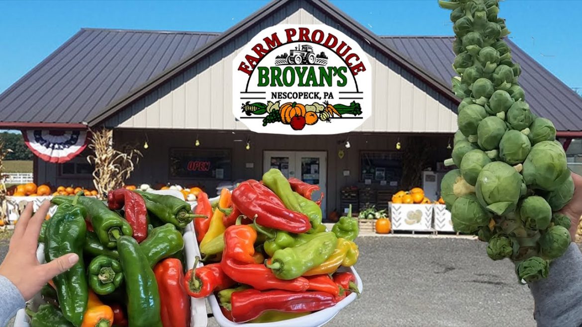 BROYAN'S FARM MARKET...It's A One Stop Shop!!!