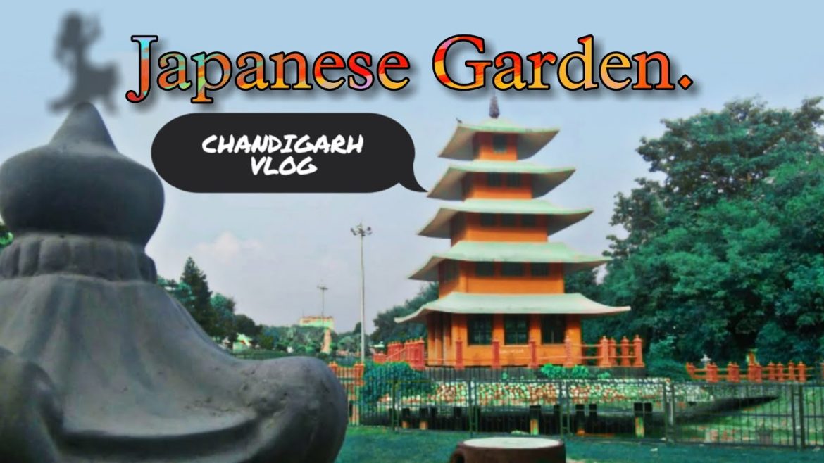 Japanese Garden Chandigarh | My First vlog 🔥| New Vlog's Hindi @Pahadi Wala Vlogs
