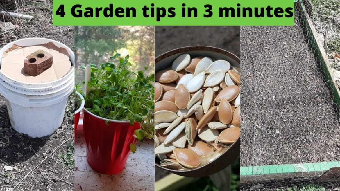 4 Garden tips in 3 minutes - Straight to the Point