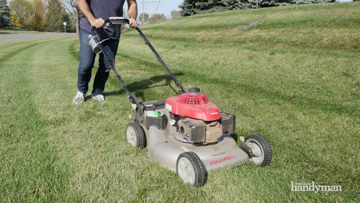 Handy Hints: 5 Lawn and Garden Tips