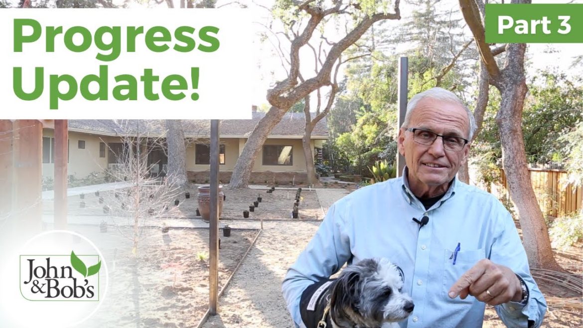 Front Yard Makeover | Landscape Progress Update (3 of 5)