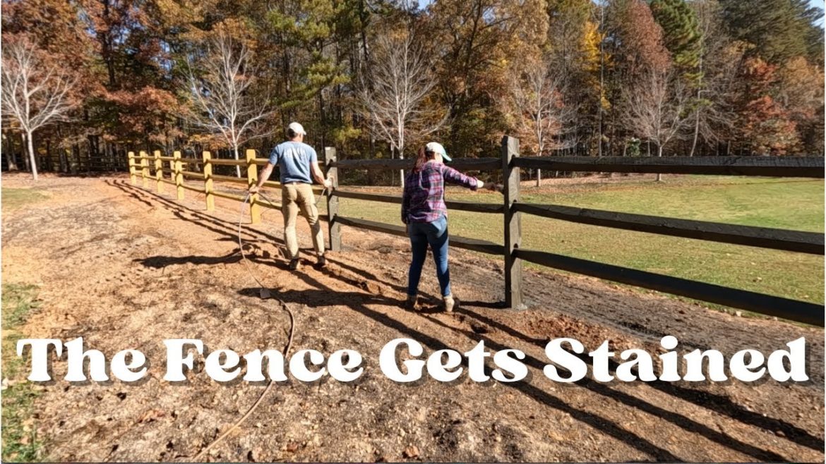 We Got the Fence Stained | Gardening with Creekside We Got the Fence Stained | Gardening with Creekside