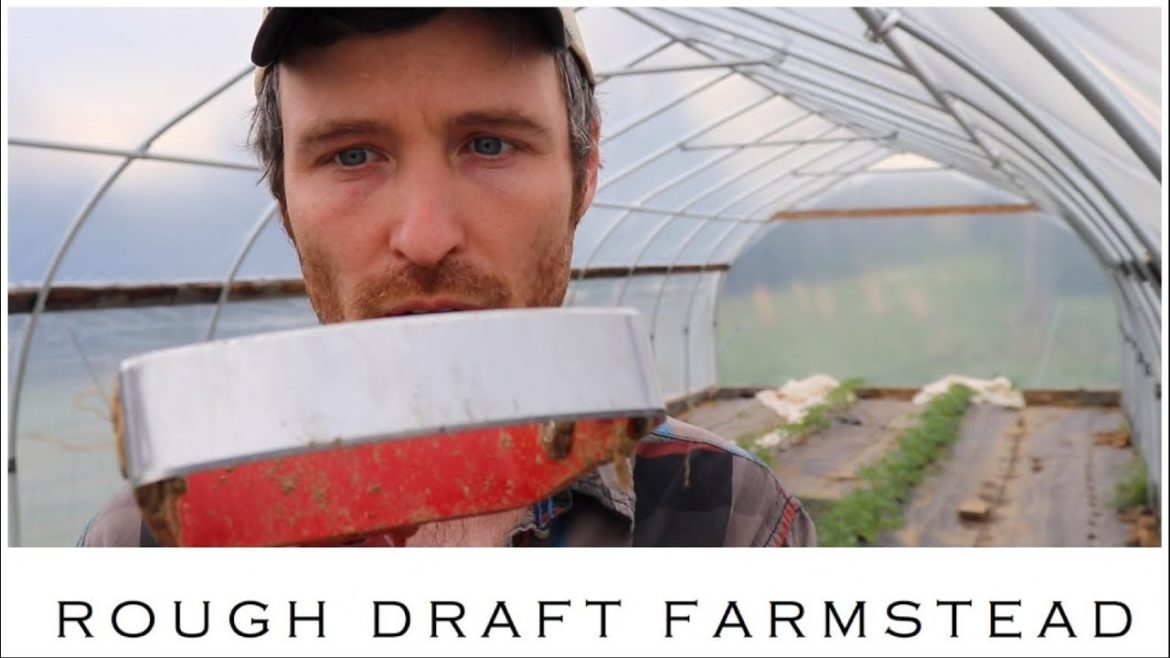 Our 5 Favorite Spring Gardening Tools May Surprise You