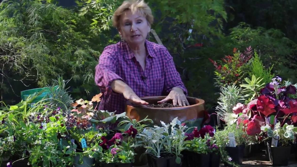 How to build a Fall container garden