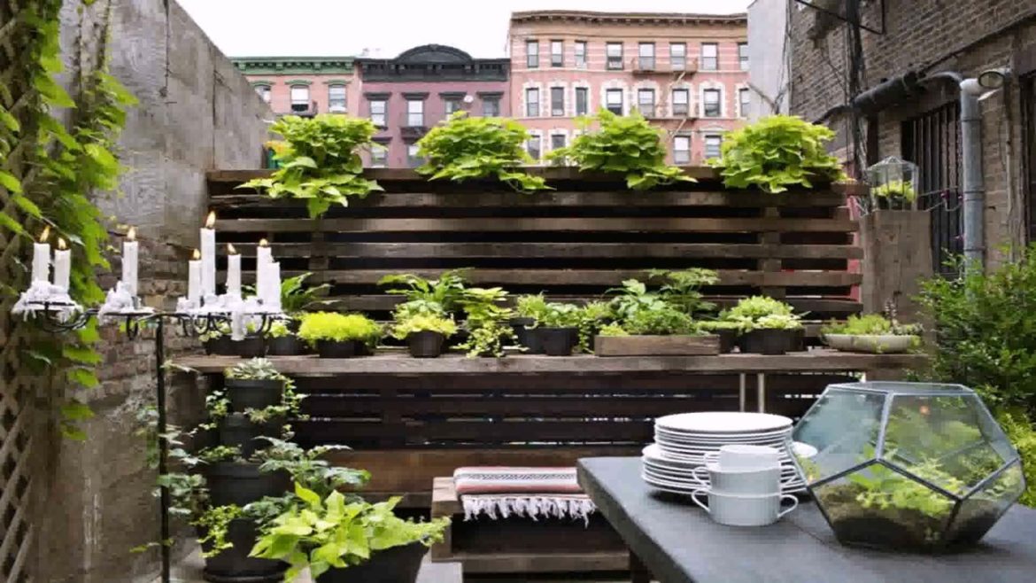 Small Home Garden Design Ideas