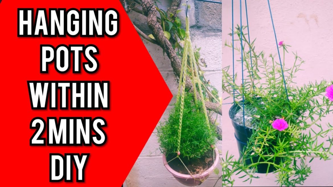 Hanging Pots DIY Vertical Garden Tips for Beginners