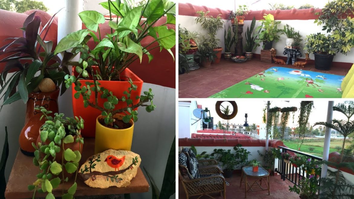 Terrace Garden Makeover||Terrace garden Tour||Balcony Organization Ideas||Backyard Gardening Terrace Garden Makeover||Terrace garden Tour||Balcony Organization Ideas||Backyard Gardening