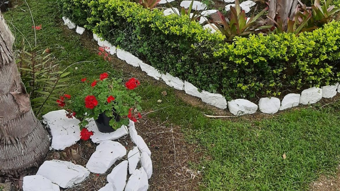 Backyard transformation  part 1