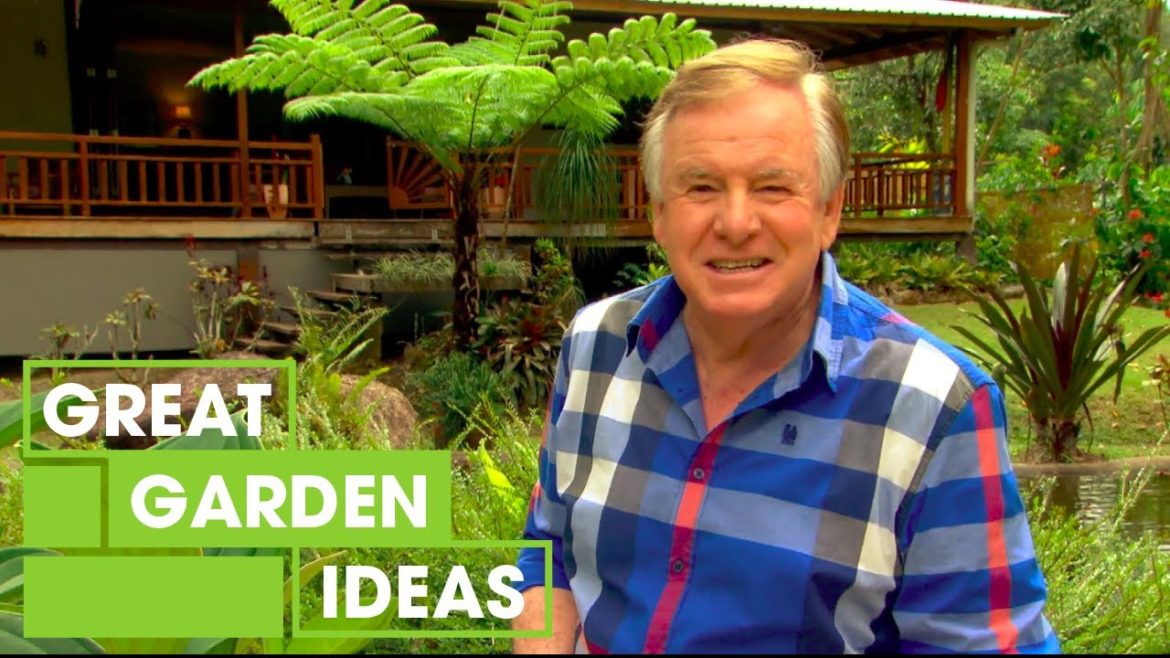 DIY Rainforest Garden Inspiration | Gardening | Great Home Ideas DIY Rainforest Garden Inspiration | Gardening | Great Home Ideas