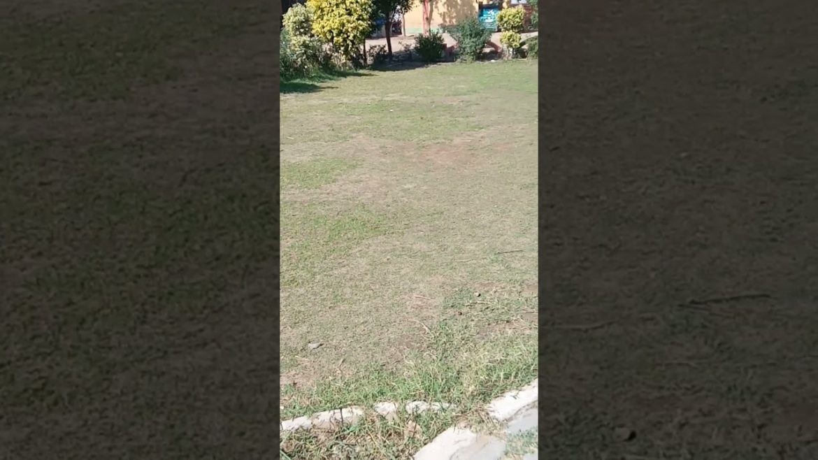 Garden looks. #shorts #viral #naturebeauty #plants #park #garden .