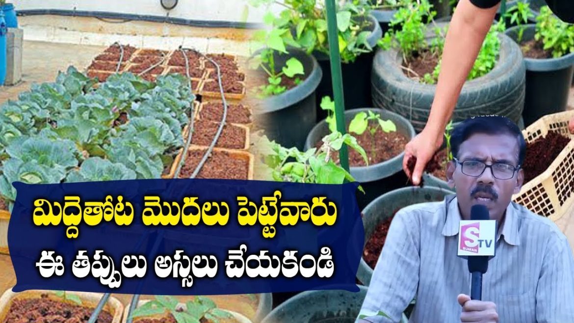 Best Tips for Terrace Garden Beginners in Telugu | Raghotham Reddy | Soil for Plants | SumanTV Tree