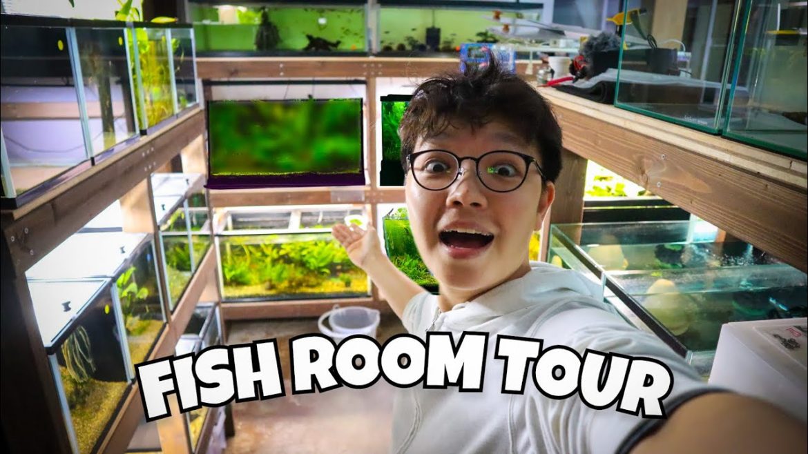 My *LAST* FISH ROOM TOUR!! Things Are Going to Change!