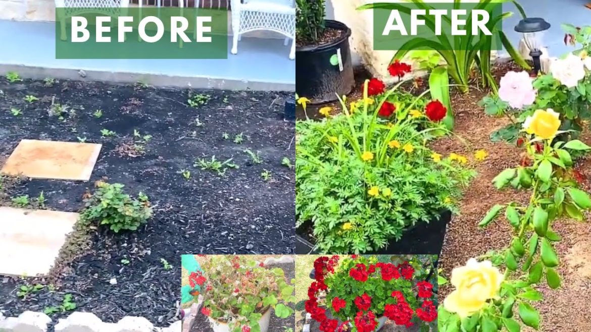 How To Create A Beautiful Front Yard Landscaping How To Create A Beautiful Front Yard Landscaping