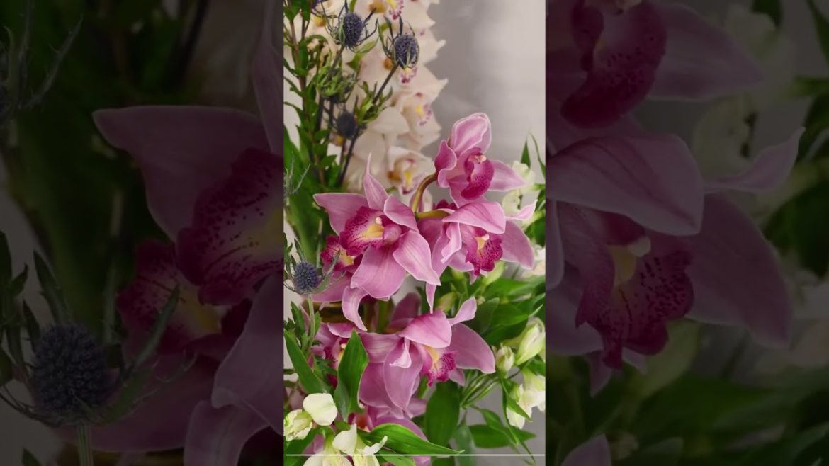 POWERFUL, EFFECTIVE DAILY PRAYER: MORNING EDITION (1) #shorts POWERFUL, EFFECTIVE DAILY PRAYER: MORNING EDITION (1) #shorts