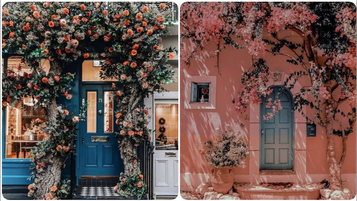 Garden- Eye-Catching Entryway with These Colorful Front-Door Containers design and ideas