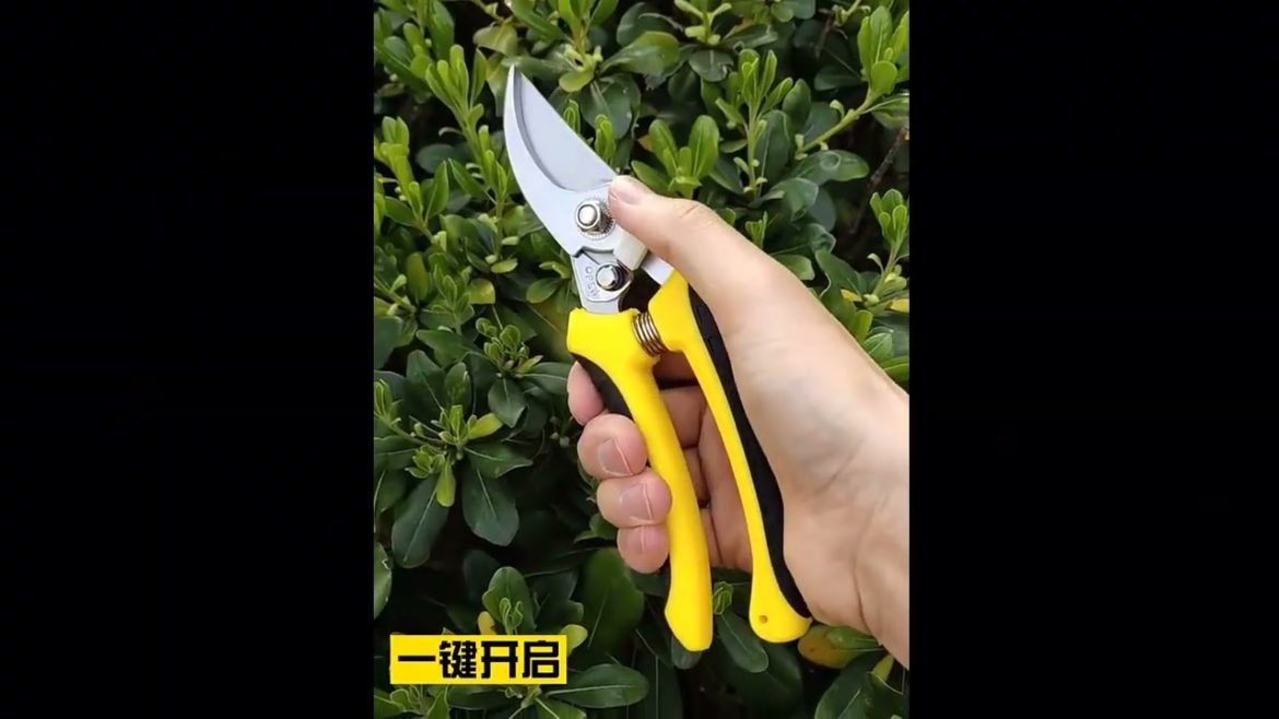Best gardening tools | Orchard garden tools | Best garden tools set | Garden clippers.