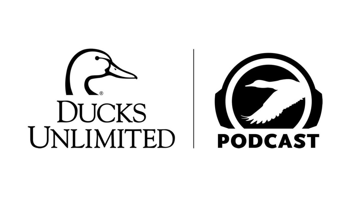 Ep. 421 – The White-fronted Goose: Distribution, Movements, and Diet Ep. 421 – The White-fronted Goose: Distribution, Movements, and Diet