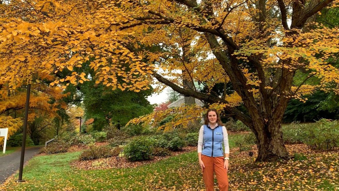 Lunchtime Tour: Fantastic Fall Foliage