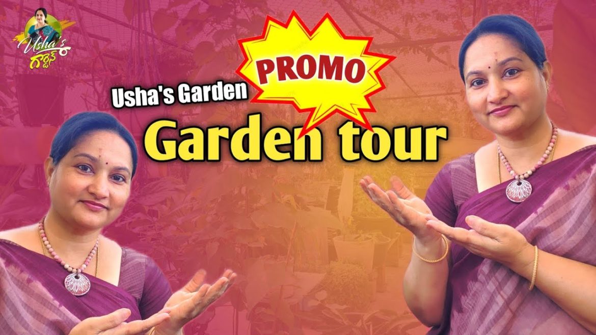 Promo | Garden Overview | Garden Tour #ushasgarden #Fruits #Flowers #vegetables #gardentour #tips Promo | Garden Overview | Garden Tour #ushasgarden #Fruits #Flowers #vegetables #gardentour #tips