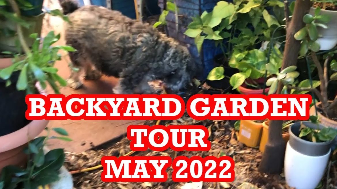 Backyard Garden Tour - May 2022