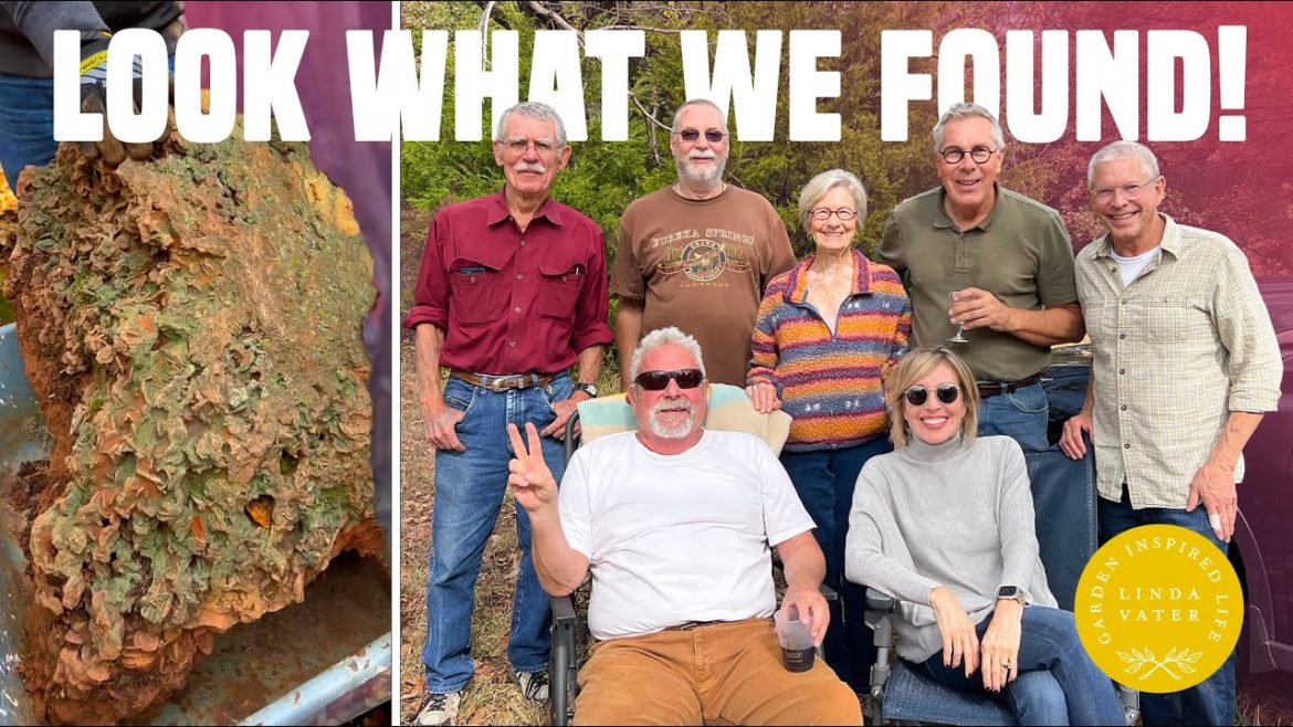 We Went Hunting for Massive Oklahoma Rose Rocks We Went Hunting for Massive Oklahoma Rose Rocks