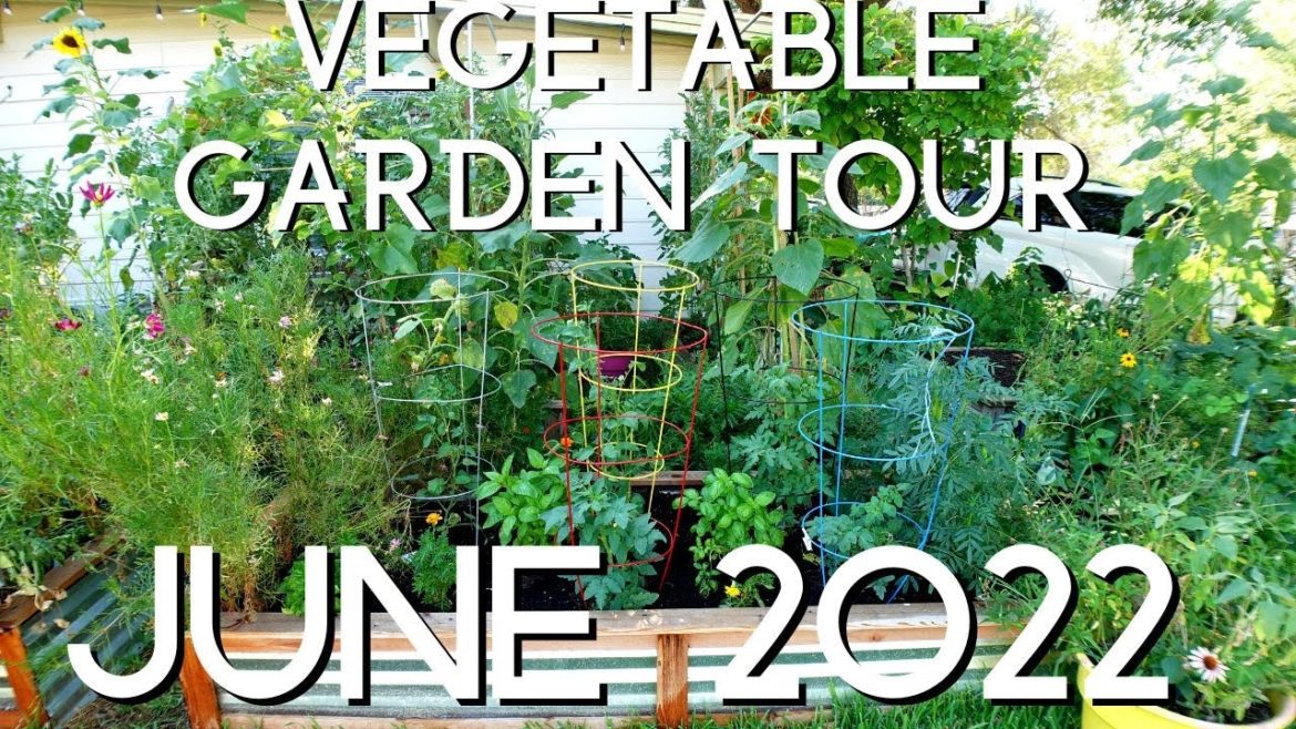 Vegetable Garden TOUR June 2022 Vegetable Garden TOUR June 2022