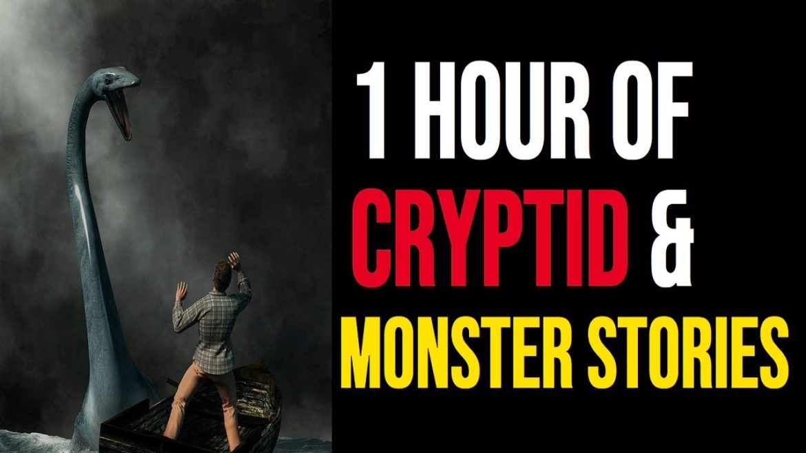 1 HOUR OF CRYPTID & MONSTER ENCOUNTER STORIES # 3 1 HOUR OF CRYPTID & MONSTER ENCOUNTER STORIES # 3