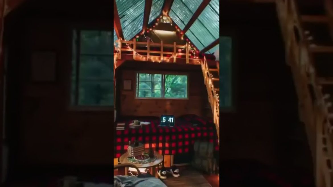 Life In The Trees With The Treehouse Masters #shorts Life In The Trees With The Treehouse Masters #shorts