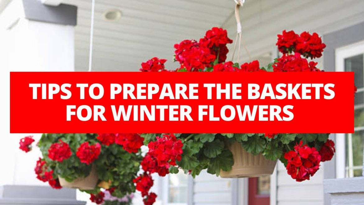 Tips to prepare the baskets for winter flowers