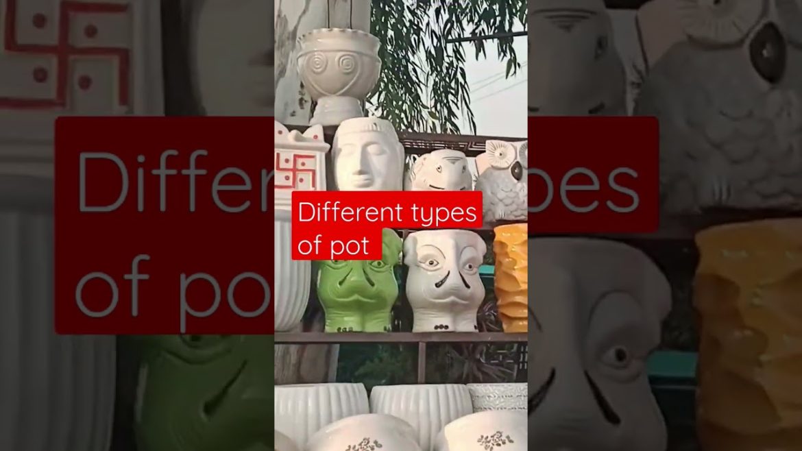 pot type use in garden #shorts #pot #gardenuseofpot #gardeningpointds