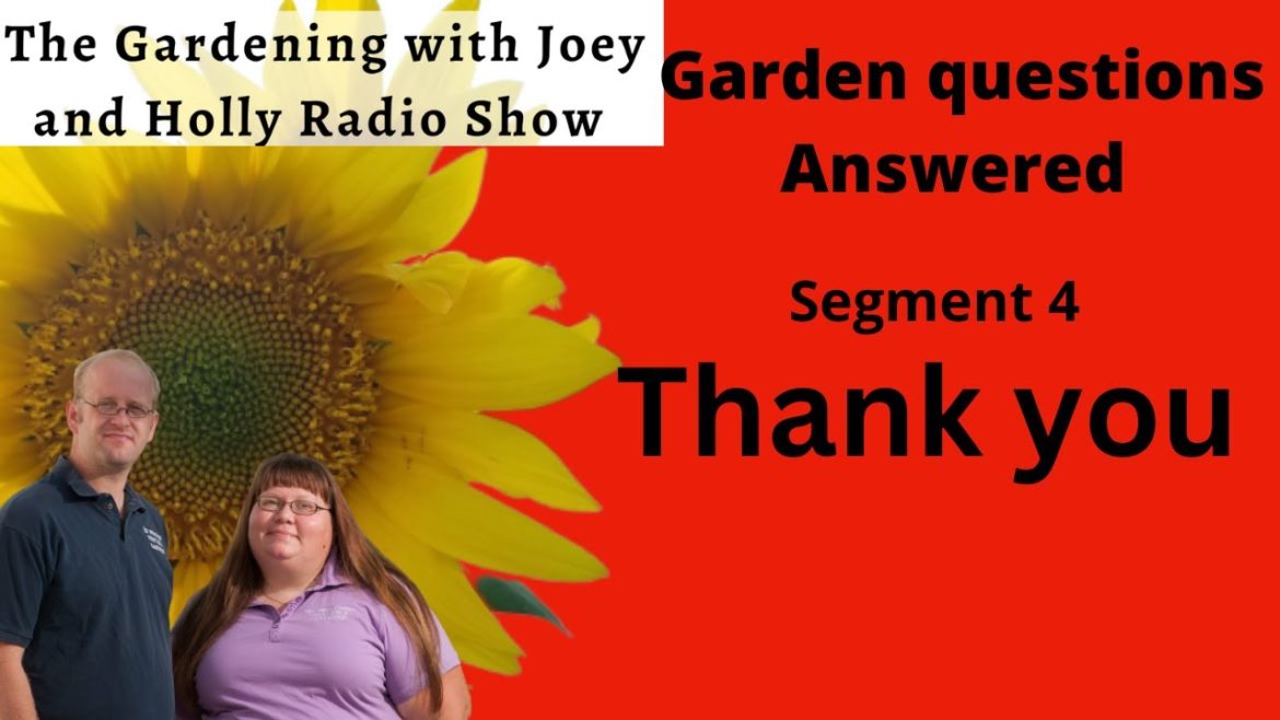 Segment 4 of S6E35 Thank you final segment of 2022- The Gardening with Joey and Holly Radio Show Segment 4 of S6E35 Thank you final segment of 2022- The Gardening with Joey and Holly Radio Show
