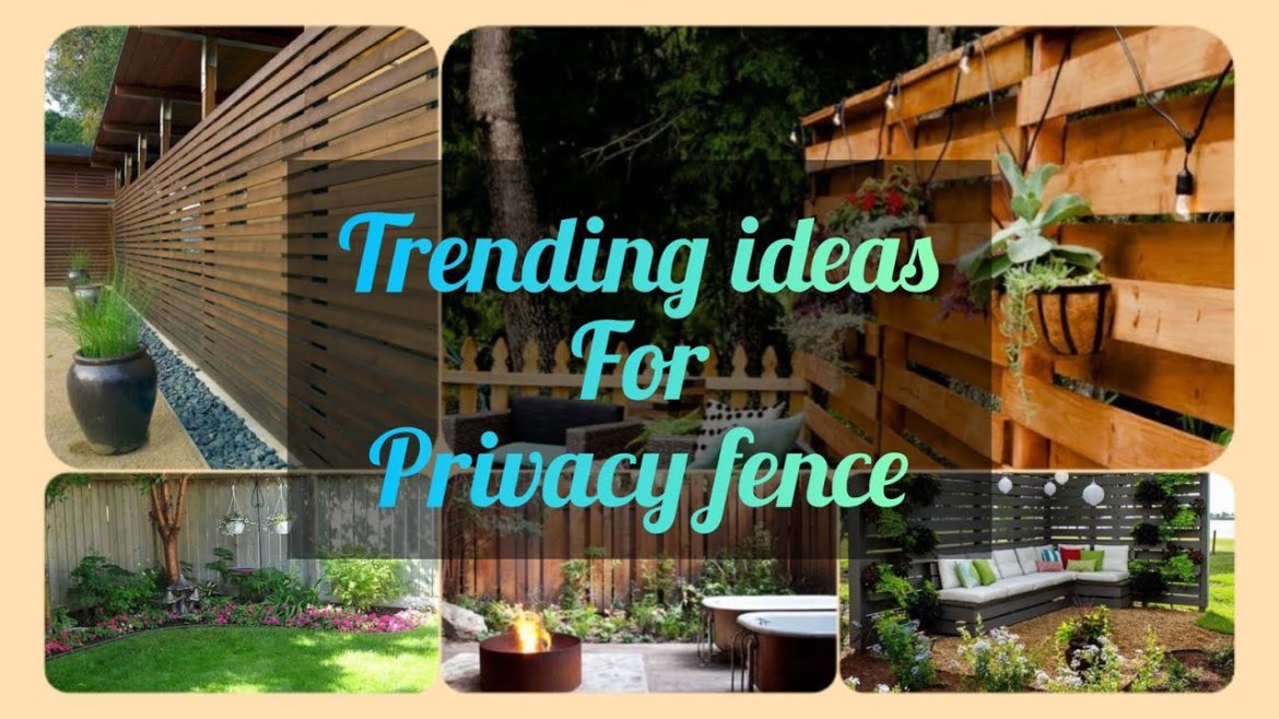 Amazing Ideas That Will Upgrade Your Home | Garden Edition TOP Privacy Screen &  Fence