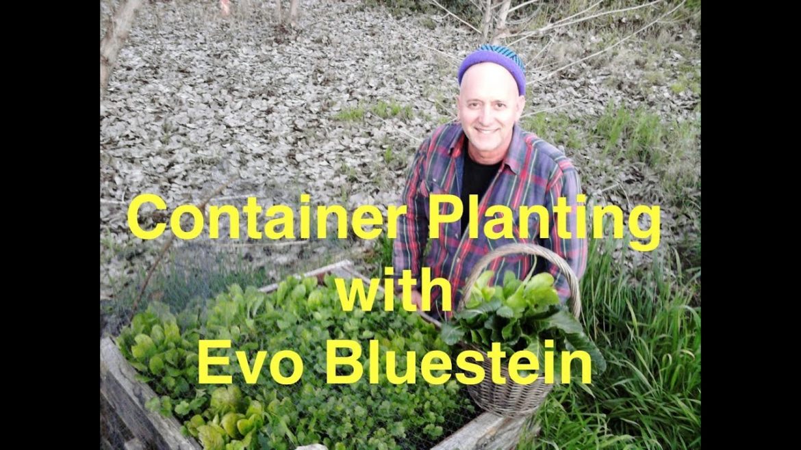 Musical Garden Tips with Evo Bluestein