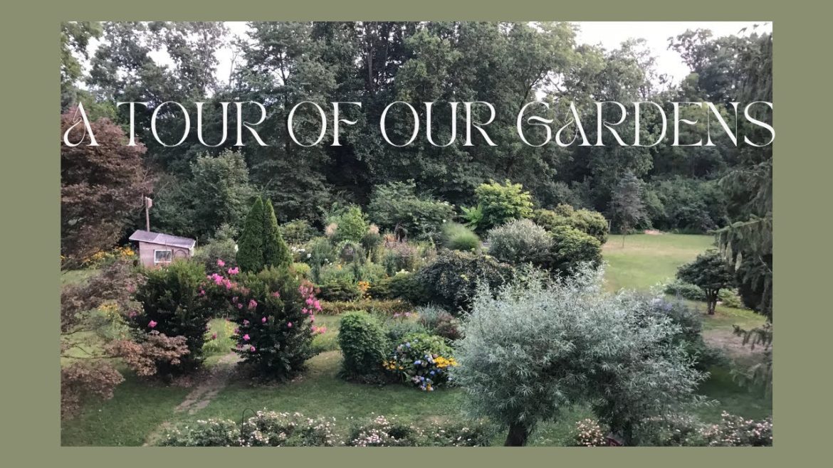A Tour of The Gardens Surrounding Our Home