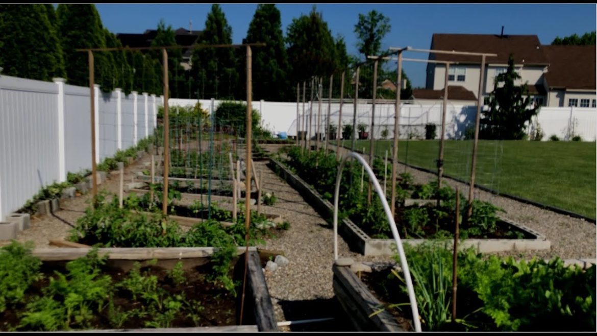 Welcome to Our NJ Backyard Garden